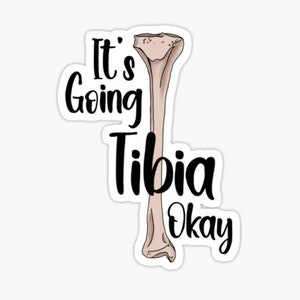 Tibia Pun Sticker: Funny Bone Anatomy Gift