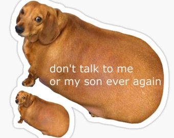 Funny Dachshund Meme Sticker: 