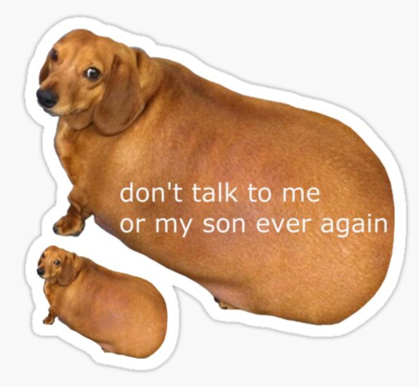 Funny Dachshund Meme Sticker: 