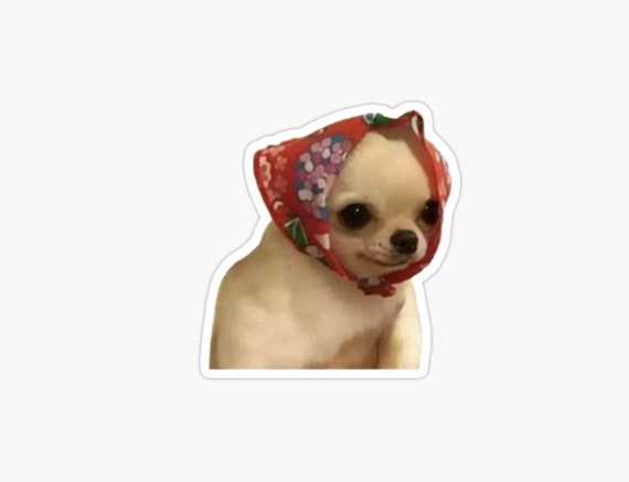 Babushka Chihuahua Sticker Funny Meme Dog Lover Gift