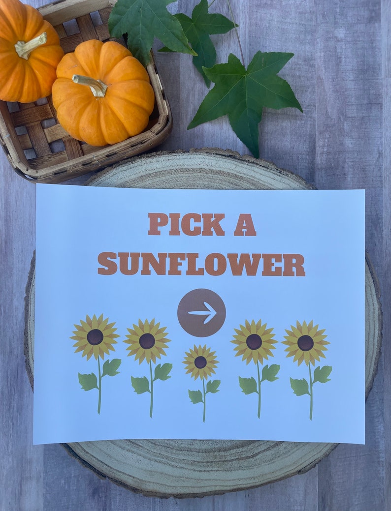 Dramatic Play/ Pretend Play/ Pumpkin Patch/ Preschool Printables ...