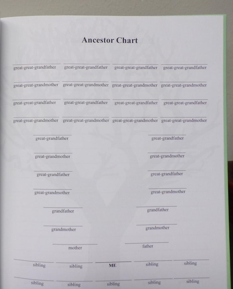 K&ouml;nnte beinhalten: Ein schwarz-wei&szlig;es Diagramm mit dem Titel "Ancestor Chart" und einem Diagramm, das die Beziehungen zwischen Familienmitgliedern zeigt, darunter Ururgro&szlig;eltern, Urgro&szlig;eltern, Gro&szlig;eltern, Eltern, Geschwister und "ICH".