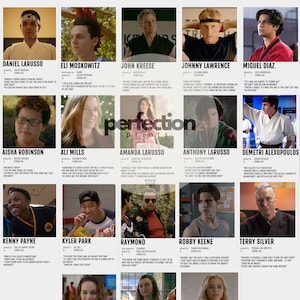 Descarga digital de personajes de Cobra Kai - Paquete de 18 personajes, arte de programas de televisión, descarga instantánea, impresión de carteles, decoración de pared imprimible, arte minimalista