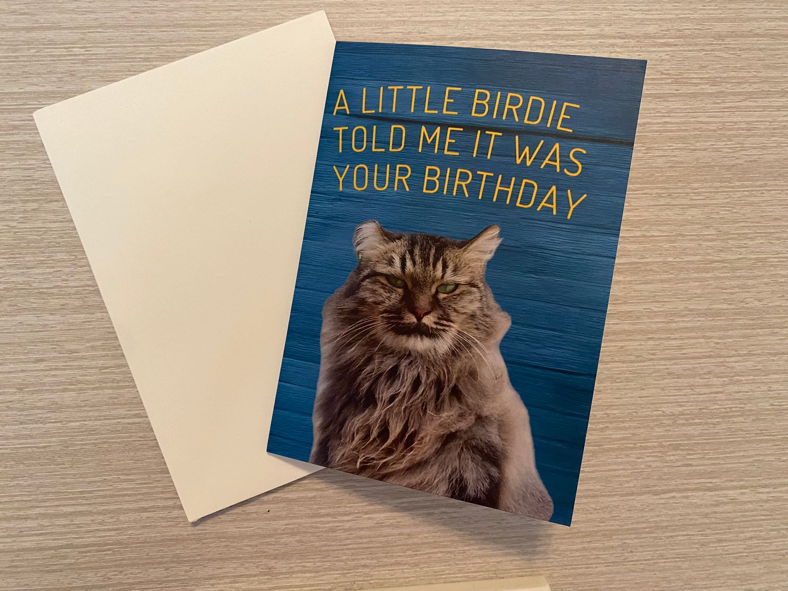 Grumpy Card Grumpy Cat Birthday Card - Etsy