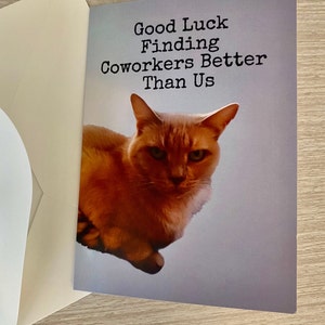 Coworker leaving/ Angry cat