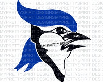 BlueJay Logo in PNG and SVG