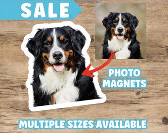 May include: A photo magnet featuring a black and white Bernese Mountain Dog with a red collar. The magnet is available in multiple sizes. "Photo Magnets" is written in white text on a blue background.