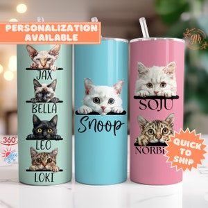 Cat Name Tumbler for Cat Mom, Cat Dad Skinny Tumbler Lid and Straw Personalized Cat Tumbler Gifts for Cat Lover Custom Cats 20 Oz Tumblers