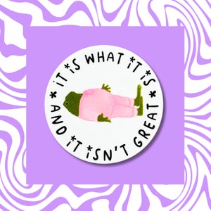 Sticker vinyle C'est ce que c'est - Sticker pour ordinateur portable / Sticker vinyle / Sticker bouteille d'eau / Sticker imperméable / Grenouille, dictons, relatable,