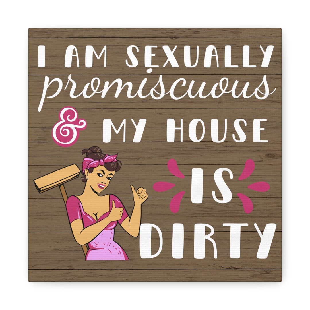 I Am Sexually Promiscuous and My House is Dirty, Inappropriate Funny