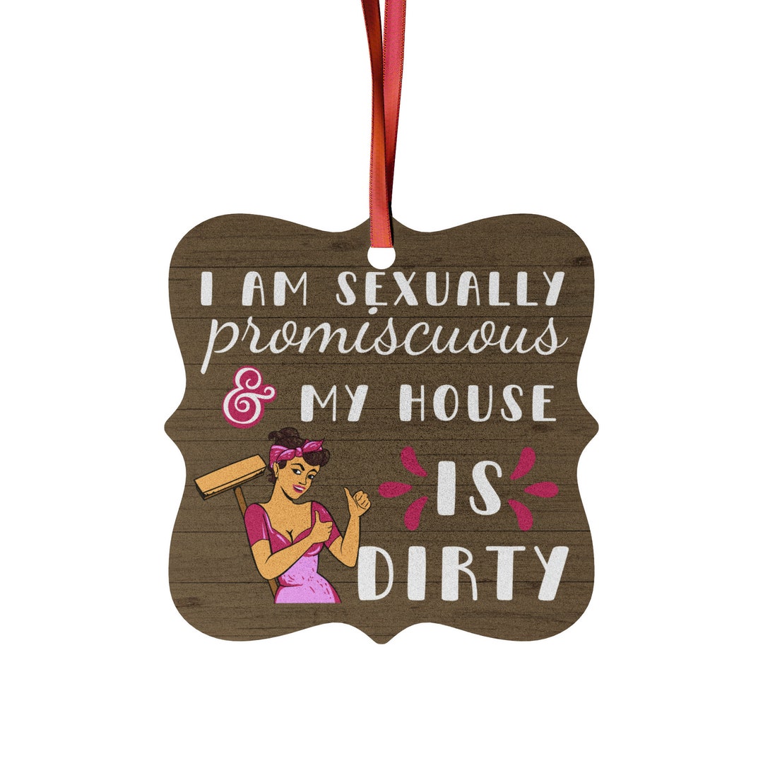 Christmas 2023 I Am Sexually Promiscuous and My House is Dirty Aluminum