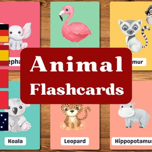 Baby Animals | Montessori Cards | 15 Flash Cards | Nomenclature Pdf | Printable Cards | Preschool