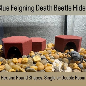 May include: Red hexagonal and rectangular beetle hides with arched openings, displayed on a bed of small, colorful stones. The text reads "Blue Feigning Death Beetle Hides" and "Hex and Round Shapes, Single or Double Room". A small, gray beetle model is also present.