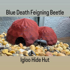 Blauwe dood veinzende kever iglo-hut met twee kamers Kies kleur