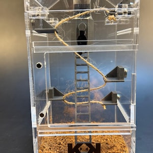 Custom Jumping Spider Enclosure from Kritter Kribs With Magnetic Sliding Door and Removable Canopy Top For All Arboreal Spiders