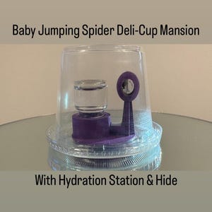 Taza Deli Mansion de Baby Jumping Spider con estación de hidratación que absorbe el agua y vaso Deli Watchtower Hide de 5.5 oz incluido
