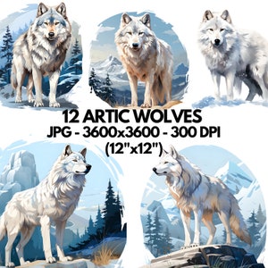 Arctic Wolf Clipart, 12 High-Quality JPGs, Wolf Wall Art, Wolf Paper Craft, Apparel Art, Wolf Junk Journals, Digital Prints, Commercial Use