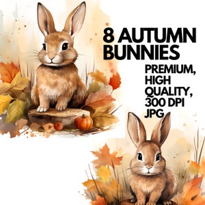Niedliche Herbst Hasen Clipart Set - 8 JPG Herbst Hasen für kommerzielle Nutzung, Hochzeitseinladungen, Instant Download, Aquarell, Kaninchen Clip Art