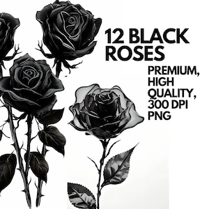 May include: Twelve black roses with a glossy finish, arranged in a bouquet. The roses are isolated on a white background. The text "12 BLACK ROSES" is displayed in bold black letters above the roses. Below the roses, the text "PREMIUM, HIGH QUALITY, 300 DPI PNG" is displayed in black letters.