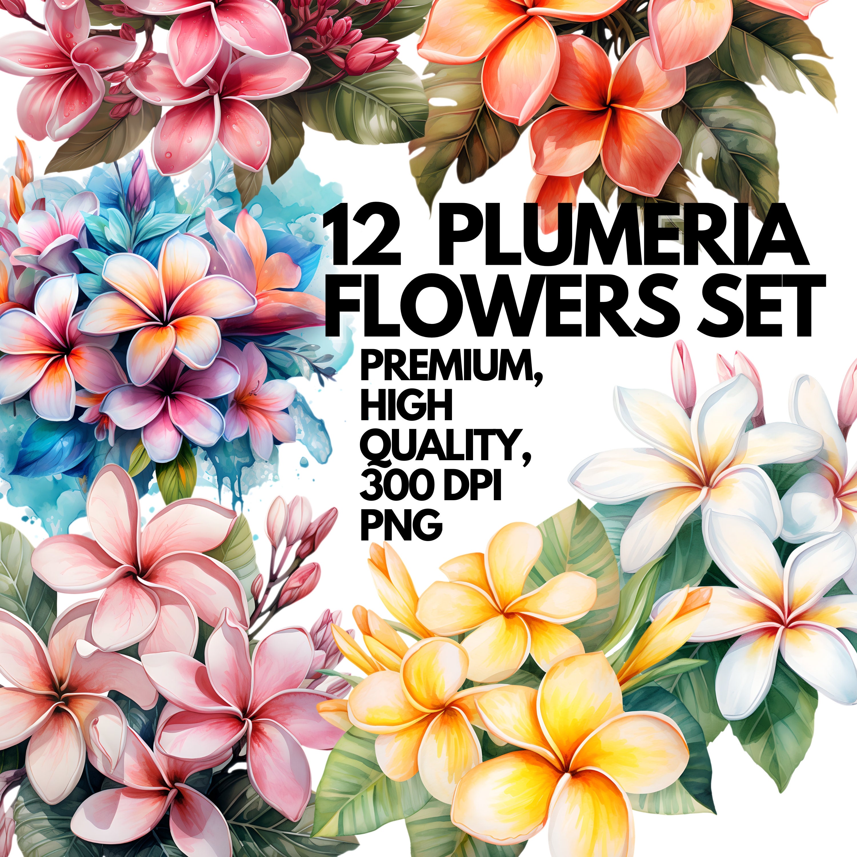 Watercolor Plumeria Clipart - 12 Tropical Flowers PNG Format Instant ...