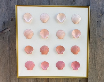 Coastal Fade | Blush Tide: Original Hand-Painted Shell Art for Coastal Interiors