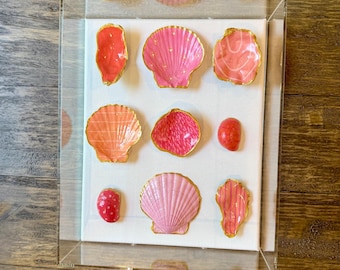 Hand Painted Seashells|Acrylic Shadowbox|Coastal Wall Art| Ocean-Inspired Decor| Beach House Art|Gifts| Dover Designs Original