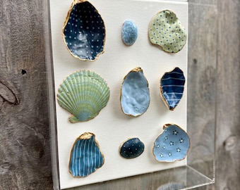 Hand Painted Seashells|Acrylic Shadowbox|Coastal Wall Art| Ocean-Inspired|Gifts| Dover Designs Original