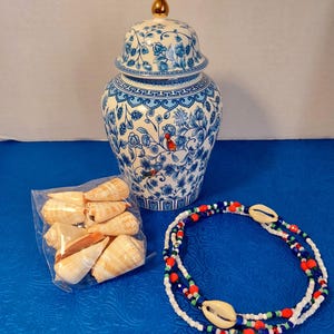 Aje Saluga Kowo Sopera Tinaja Vessel Olocun ifa orisha olokum orisa lucumi santeria Yemaya Yembo agidai iroko eleke yoruba collar caracoles