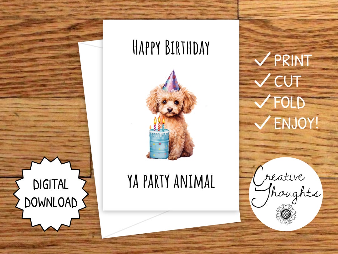 Printable Dog Birthday Card Dog Birthday Card Poodle - Etsy