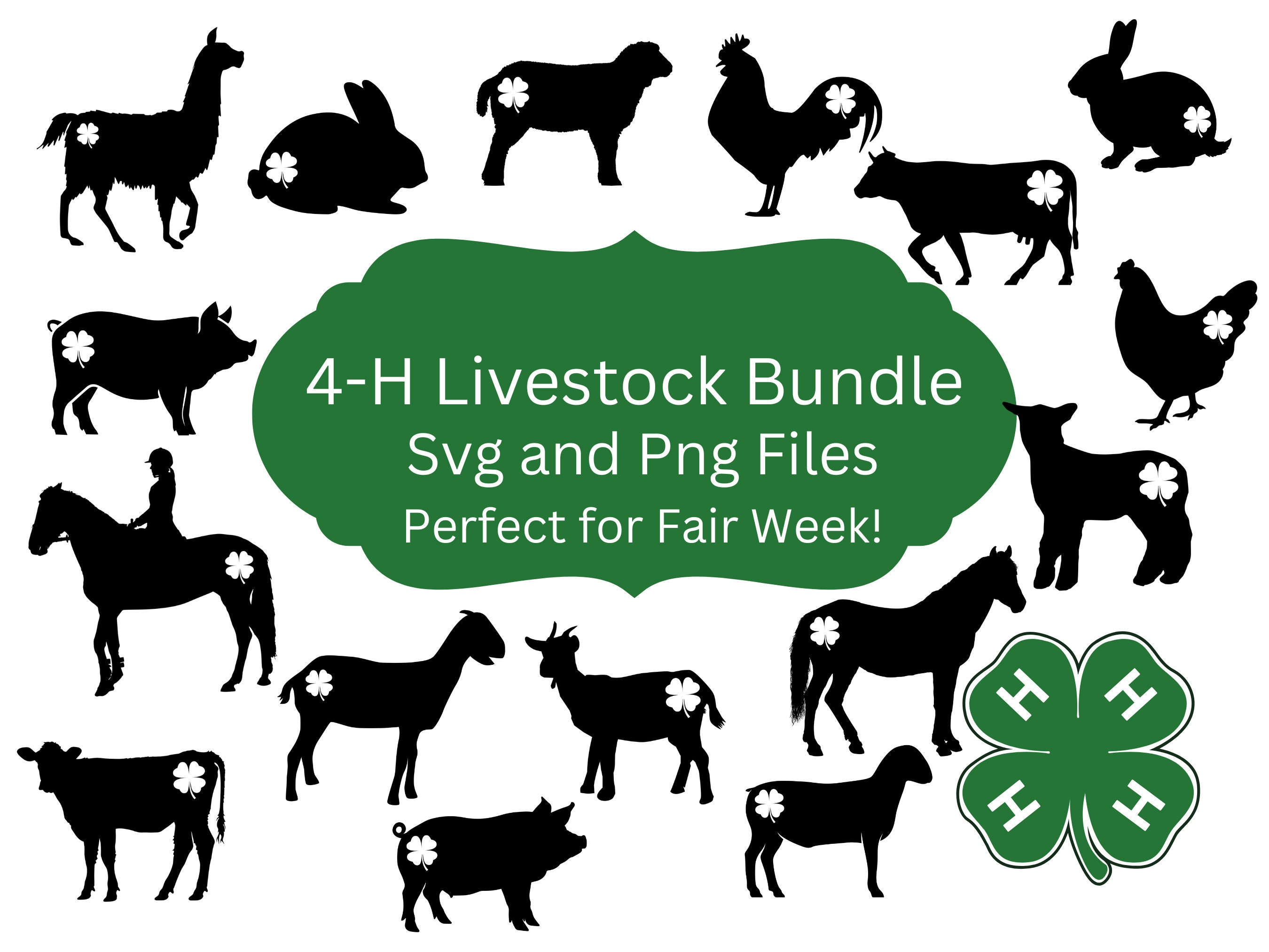What Does 4h Mean For Animals