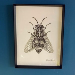 Goudoogdaas - A3 kunstafdruk van tekening - poster - illustratie - pentekening - zwart wit - muur kunst modern - natuur dieren insecten