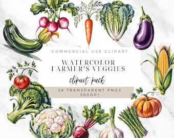 Watercolor Vegetable Clipart: Farmers Market Graphics (Digital Download, 26 PNGs