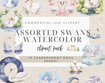 Watercolor Swan Clipart: Assorted Swan PNG Bundle (Digital Download)
