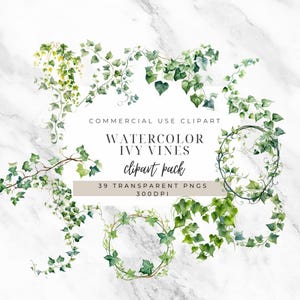 Può includere: Pacchetto di clipart di edera ad acquerello di 39 pezzi in verde. Le edere sono disposte in varie forme, tra cui ghirlande e festoni. Il testo "COMMERCIAL USE CLIPART WATERCOLOR IVY VINES clipart pack 39 TRANSPARENT PNGS 300DPI" è incluso nell'immagine.