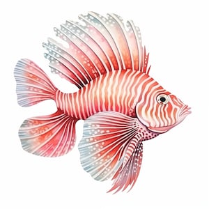 10 Fische JPG 300 DPI Clipart Vol 3 | Kommerzielle Nutzung | Sofortdownload | Fisch Clipart | Assortierte Fisch Clipart | Digitales JPG