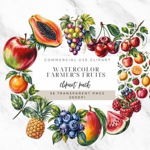 Farmers Market Fruit Clipart, Watercolor Food Graphics, Digital Download, Healthy Fruits, Commercial Use, Fruit Leaves Clipart Transparent