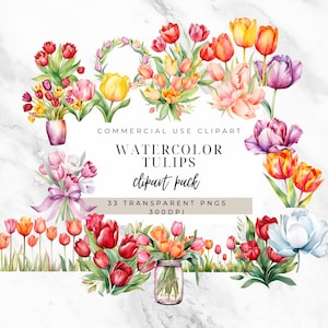 Elegant Tulip Clipart - Spring Floral PNG - Wedding Invitation Decor - High Quality Digital Download - Tulips Clipart Transparent PNGs