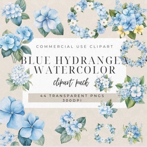 Clipart aquarela de hortênsia azul | Clipart de aquarela de flor | 44 flores de hortênsia azul | Buquê de hortênsias | Clipart azul | Florais