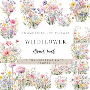 Clipart printemps | Fleur minimaliste png | Fleurs sauvages pastel png | Clipart aquarelle | Clipart été | Clipart fleurs sauvages | Clipart fleurs