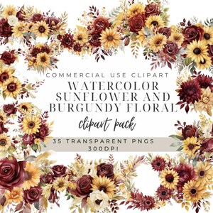Watercolor Sunflowers With Burgundy Flowers | Sunflower Clipart | Sunflower Png | Fall Clipart | Burgundy Floral Images | Transparent PNGs