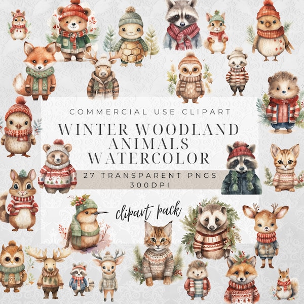 Woodland Animals Clipart | Paper Crafts | Commercial Use Png | Winter Clipart | Nursery Clipart | Woodland Christmas | Winter Clipart