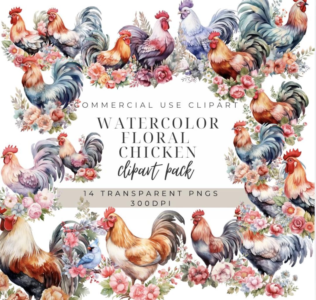 Watercolor Floral Chicken Clipart: Farm Animal PNG (commercial Use) - Etsy