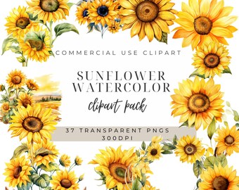 May include: A set of 37 watercolour sunflower clipart images. The sunflowers are yellow with brown centres and green leaves. The images are perfect for adding a touch of summer to your designs.