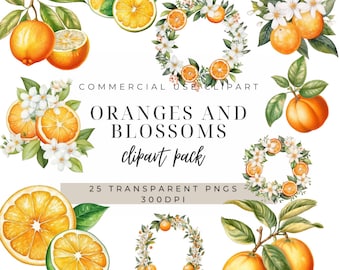 Aquarell Orange & Blüte Clipart: Citrus PNG Grafiken (digitaler Download)