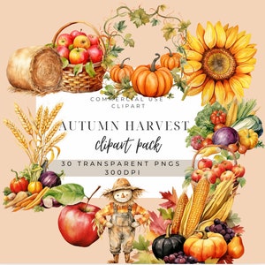 Commercial Use Clipart | Pumpkins | Digital Download | Fall Watercolor Clipart | Fall Vegetable | Autumn Harvest | Junk Journal PNG Images