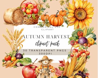 Watercolor Pumpkin Clipart: Autumn Harvest PNG Images (Digital Download)