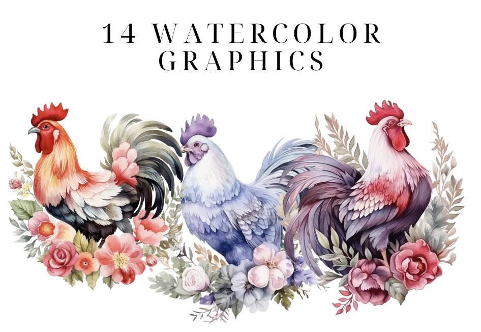 Watercolor Floral Chicken Clipart: Farm Animal PNG (commercial Use) - Etsy