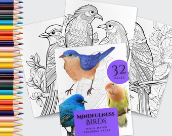 May include: A colouring book with 32 pages featuring a variety of birds. The cover shows a bluebird, a blue jay, a lovebird, and a variety of other birds. The book is titled "Mindfulness Birds Mix-N-Match Colouring Pages".