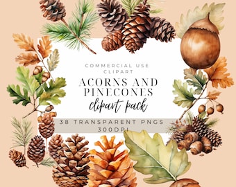 Watercolor Acorns and Pinecones Clipart: Autumn PNG Images (Digital Download)