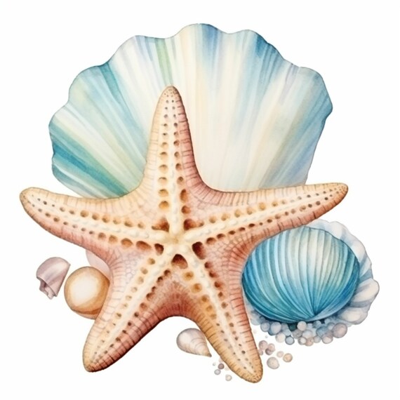 Metal Wall Mount Starfish Dive Hook Beach Towel Hanger Sea Shell Keyring Holder Metal Wall Mount Starfish Dive Hook Beach Towel Hanger Sea Shell Keyring Holder